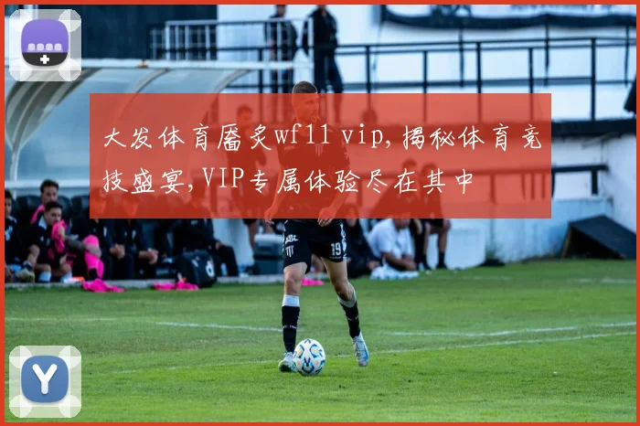 大发体育靥炙wf11 vip,揭秘体育竞技盛宴,VIP专属体验尽在其中
