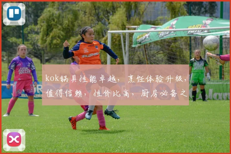kok锅具性能卓越，烹饪体验升级，值得信赖，性价比高，厨房必备之选，三重优势，值得拥有