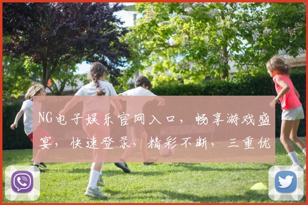 NG电子娱乐官网入口，畅享游戏盛宴，快速登录，精彩不断，三重优惠，等你来拿